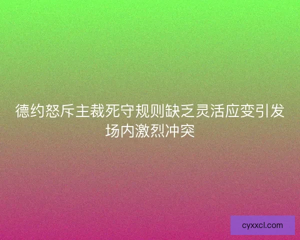 德约怒斥主裁死守规则缺乏灵活应变引发场内激烈冲突