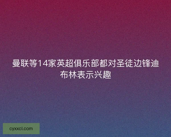 曼联等14家英超俱乐部都对圣徒边锋迪布林表示兴趣